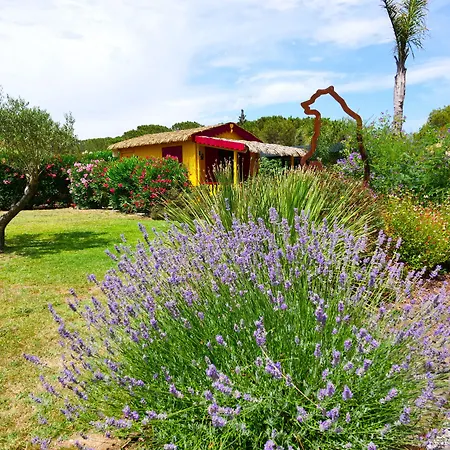 B&B D'hotes & Mas Dels Esquirols Saint-André